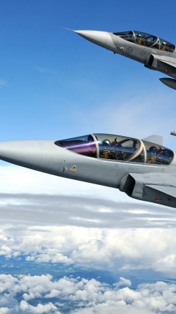 Saab JAS 39 Gripen, fighter aircraft, Swedish Air Force (vertical)
