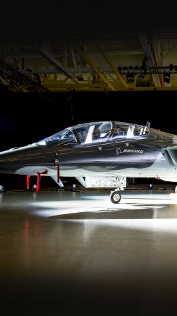 Boeing TX, fighter aircraft, U.S. Airforce (vertical)