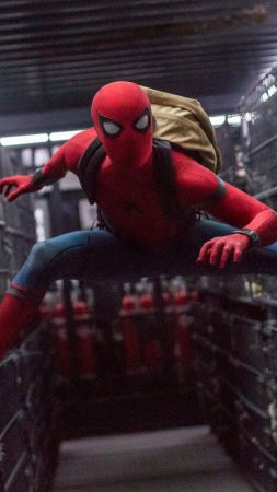 Spider-Man: Homecoming, 4k, 8k, Tom Holland, Marvel (vertical)