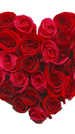 love image, heart, 5k, rose, flowers (vertical)
