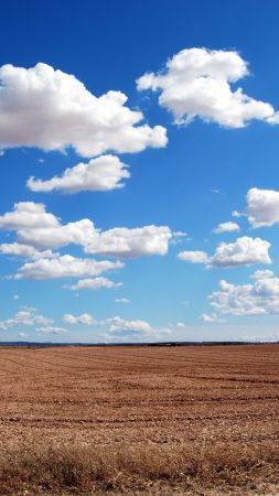 clouds, sky, field, 4k (vertical)