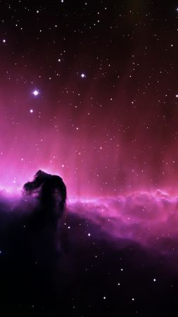 Horsehead Nebula, HD (vertical)