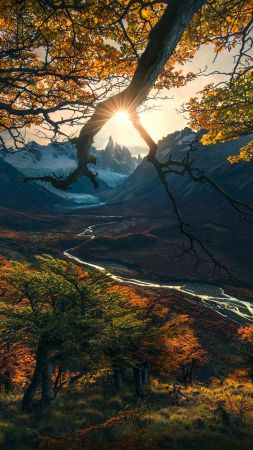 forest, tree, mountains, autumn, HD (vertical)