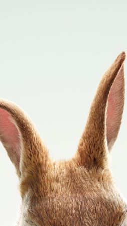 Peter Rabbit, HD (vertical)