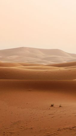 desert, sand, 5k (vertical)