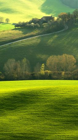 Tuscany, Italy, Europe, hills, green, field, 4K (vertical)