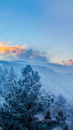 mountains, forest, winter, clouds, 4k (vertical)