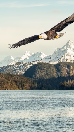 eagle, mountains, lake, 5k (vertical)