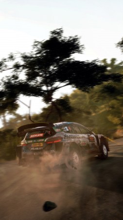 WRC 9, Gamescom 2020, screenshot, 4K (vertical)