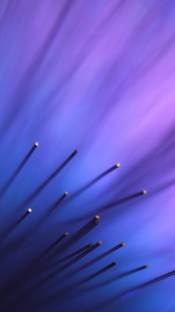 lines, 4k, 5k wallpaper, blue, violet, background (vertical)