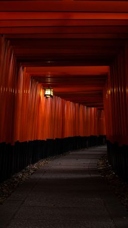 Japan, Kyoto, red, 5K (vertical)