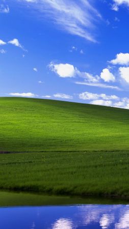 bliss, Windows XP, Microsoft, 4K (vertical)
