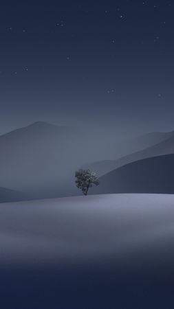 macOS Rancho Cucamonga, Dark, Apple, OS X Rancho Cucamonga, abstract, night, 5K (vertical)