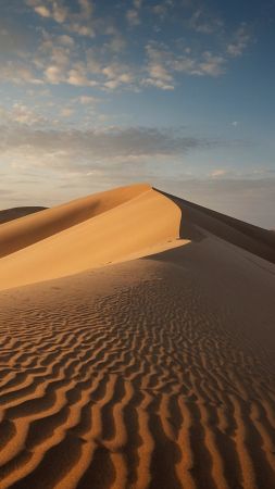 desert, sand (vertical)