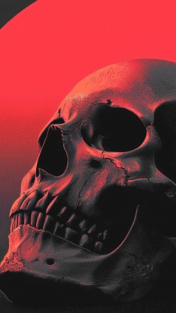 skull images wallpaper, gothic art, skeleton decorations, background for mobile wallpaper (vertical)