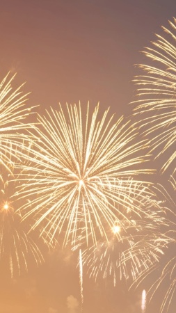 fireworks wallpaper, countdown, holiday traditions, background for mobile wallpaper (vertical)