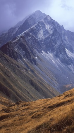 retro wallpaper, peaceful retreat, nature exploration, background for mobile wallpaper (vertical)