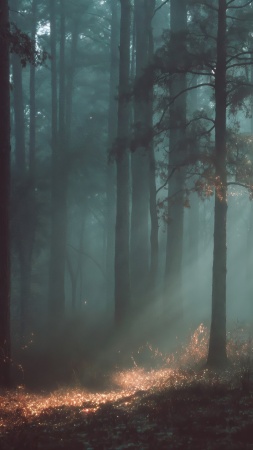 green foliage wallpaper, wild forest, mossy, background for mobile wallpaper (vertical)