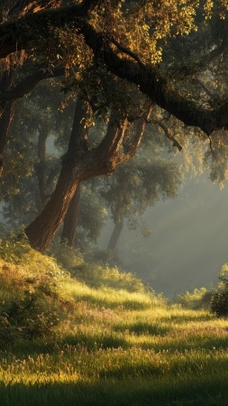 hiking adventure wallpaper, trail, scenic route, background for mobile wallpaper (vertical)