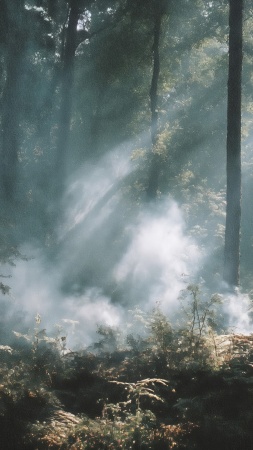 outdoor exploration wallpaper, pathway, deep forest, background for mobile wallpaper (vertical)