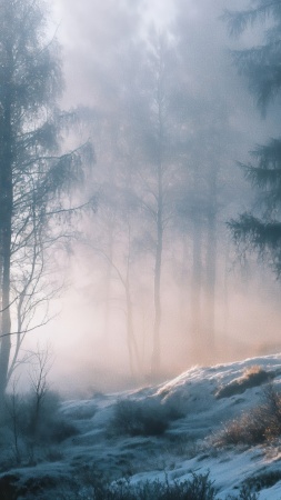 chill wallpaper, cold winter, haze, background for mobile wallpaper (vertical)