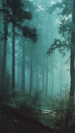 ethereal glow wallpaper, fantasy landscape, tranquil vibes, background for mobile wallpaper (vertical)