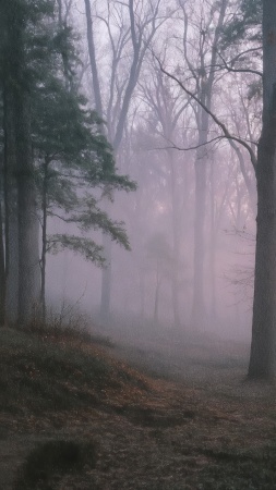 nature magic wallpaper, peaceful path, hazy sunlight, background for mobile wallpaper (vertical)