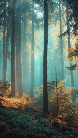 dappled light wallpaper, fairy tale forest, magical woods, background for mobile wallpaper (vertical)