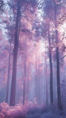 pastel hues wallpaper, mystical landscape, misty colors, background for mobile wallpaper (vertical)