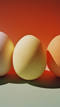 colorful eggs wallpaper, religious observance, scavenger hunt, background for mobile wallpaper (vertical)