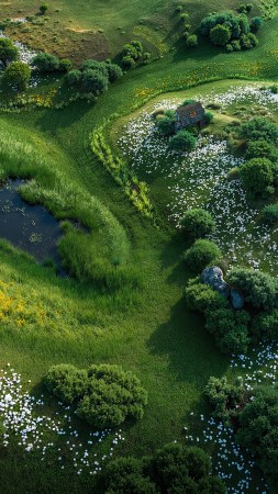 nature awakening wallpaper, green growth, sunny, background for mobile wallpaper (vertical)