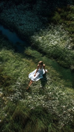 early bloom wallpaper, green growth, bright sunlight, background for mobile wallpaper (vertical)