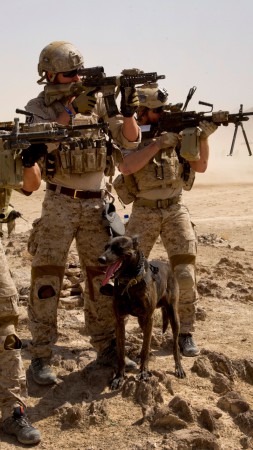 U.S. Army, M16 rifle, Mk 14, soldier, dog, black hawk, army, RSTA, camo, ammunition, field (vertical)