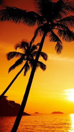 Ocean, 5k, 4k wallpaper, palms, sunset (vertical)