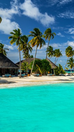 Maldives, 5k, 4k wallpaper, 8k, Indian Ocean, Best Beaches in the World palms, shore, sky (vertical)