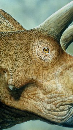 Triceratops, dinosaurs, Jurassic World, art (vertical)