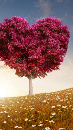 Meadows, 5k, 4k wallpaper, 8k, tree, love, sun (vertical)