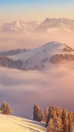 Alps, 5k, 4k wallpaper, Switzerland, mountains, clouds, pines (vertical)