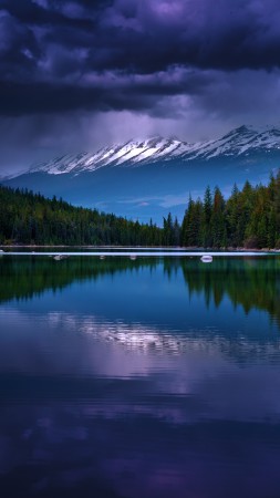 Mountains, 5k, 4k wallpaper, river, pines, trees, clouds (vertical)