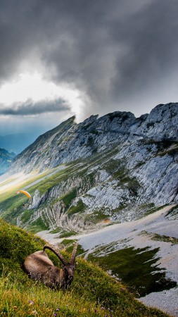 Mount Pilatus, 5k, 4k wallpaper, Switzerland, Mountains, meadows, goat, clouds (vertical)