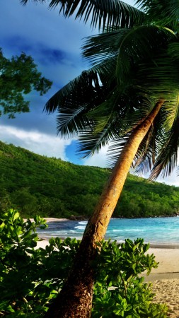 Thailand, 5k, 4k wallpaper, ocean, shore, palms, sun (vertical)