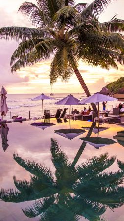 Infinity Pool, 8k, 4k wallpaper, La Digue, Praslin, Seychelles, palms, travel, tourism (vertical)
