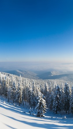 winter forest, 5k, 4k wallpaper, mountain, sun, snow, fir-trees (vertical)