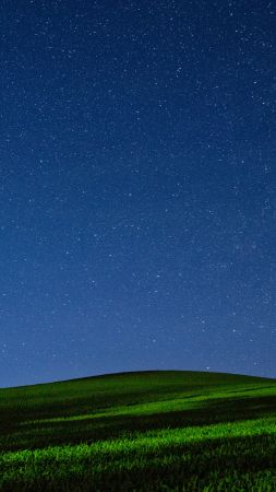 Meadows, 5k, 4k wallpaper, night, stars, sky (vertical)