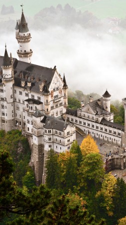 Neuschwanstein castle, Bavaria, Germany, tourism, travel (vertical)