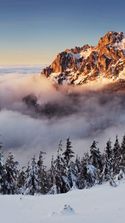 Slovakia, 4k, 5k wallpaper, 8k, mountains, fog, pines, snow (vertical)