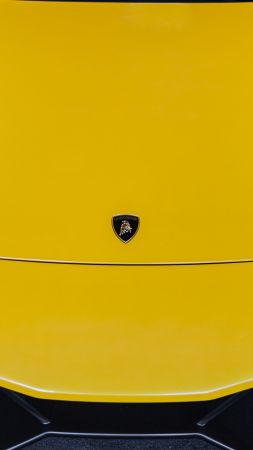 Lamborghini Murcielago, supercar, coupe, buy, review, rent (vertical)