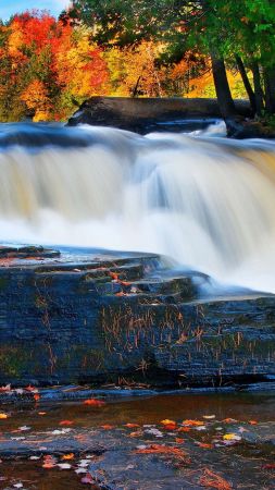 forest, 5k, 4k wallpaper, river, waterfall, autumn (vertical)