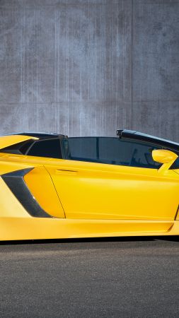 Lamborghini Aventador, roadster, limited, special edition (vertical)