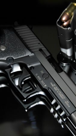 SIG Sauer P226, bullets, 196 мм, 357 SIG, Germany (vertical)